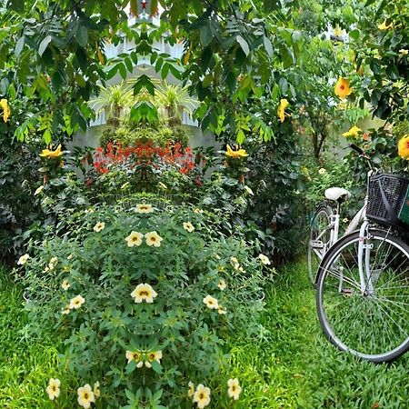 Star Garden Hoi An公寓 外观 照片