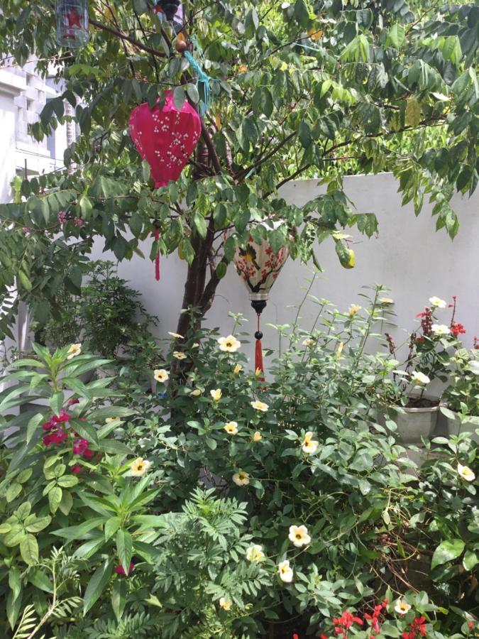 Star Garden Hoi An公寓 外观 照片