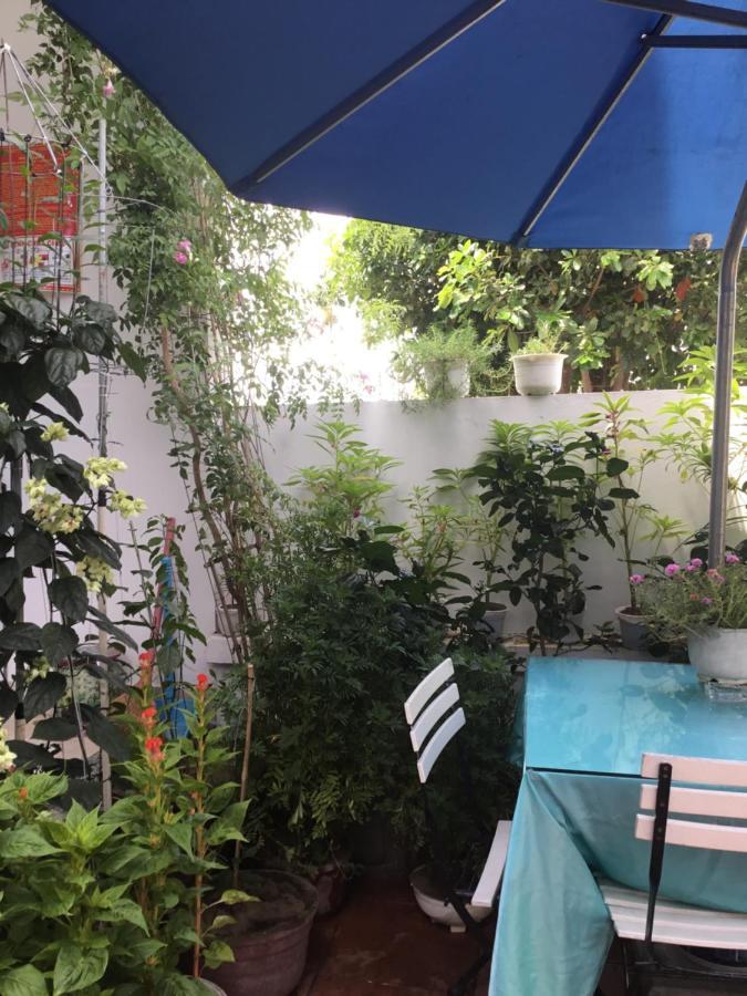 Star Garden Hoi An公寓 外观 照片