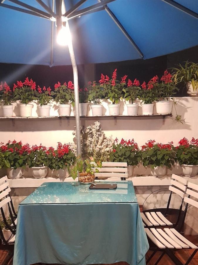 Star Garden Hoi An公寓 外观 照片